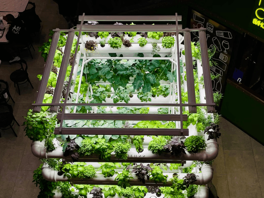 Indoor vertical hydroponic system with LED-lit pipes growing leafy greens and herbs.